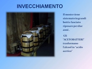 Diapositiva11