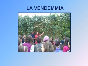 Diapositiva5
