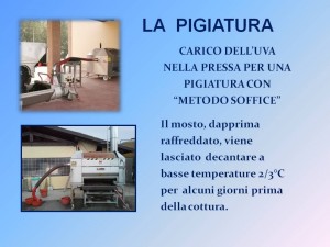Diapositiva9