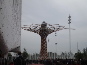 albero vita2