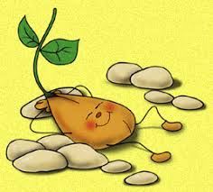 5^A Semina autunnale